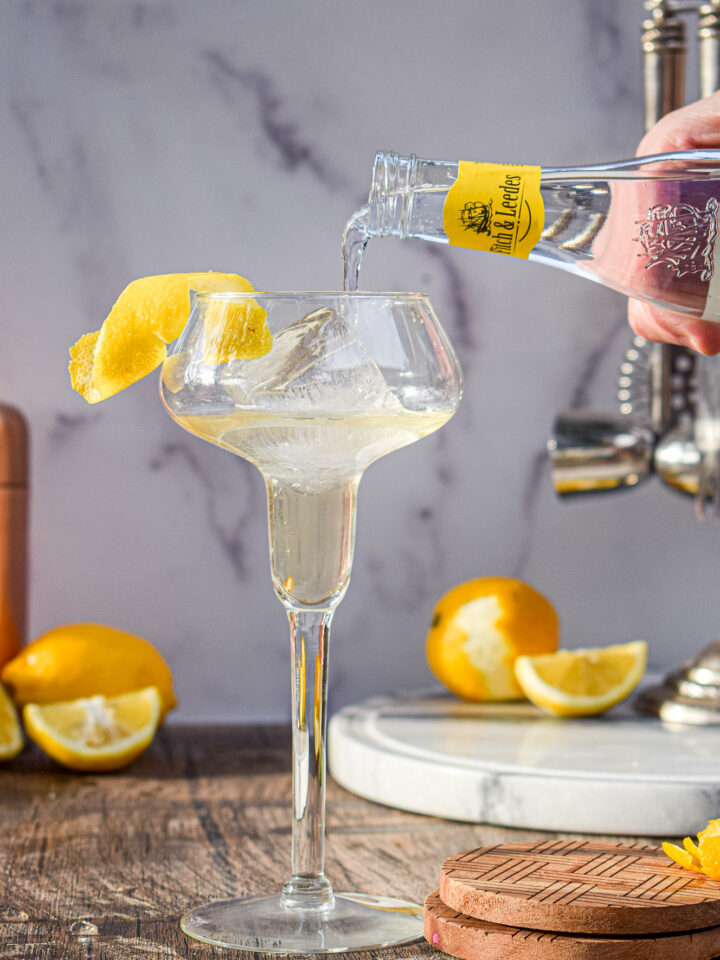 bees knees gin & tonic cocktail recipe with honey and lemon