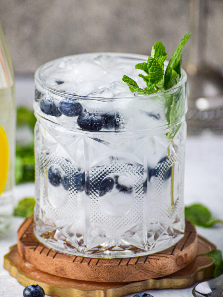blueberry mint gin and tonic cocktail recipe
