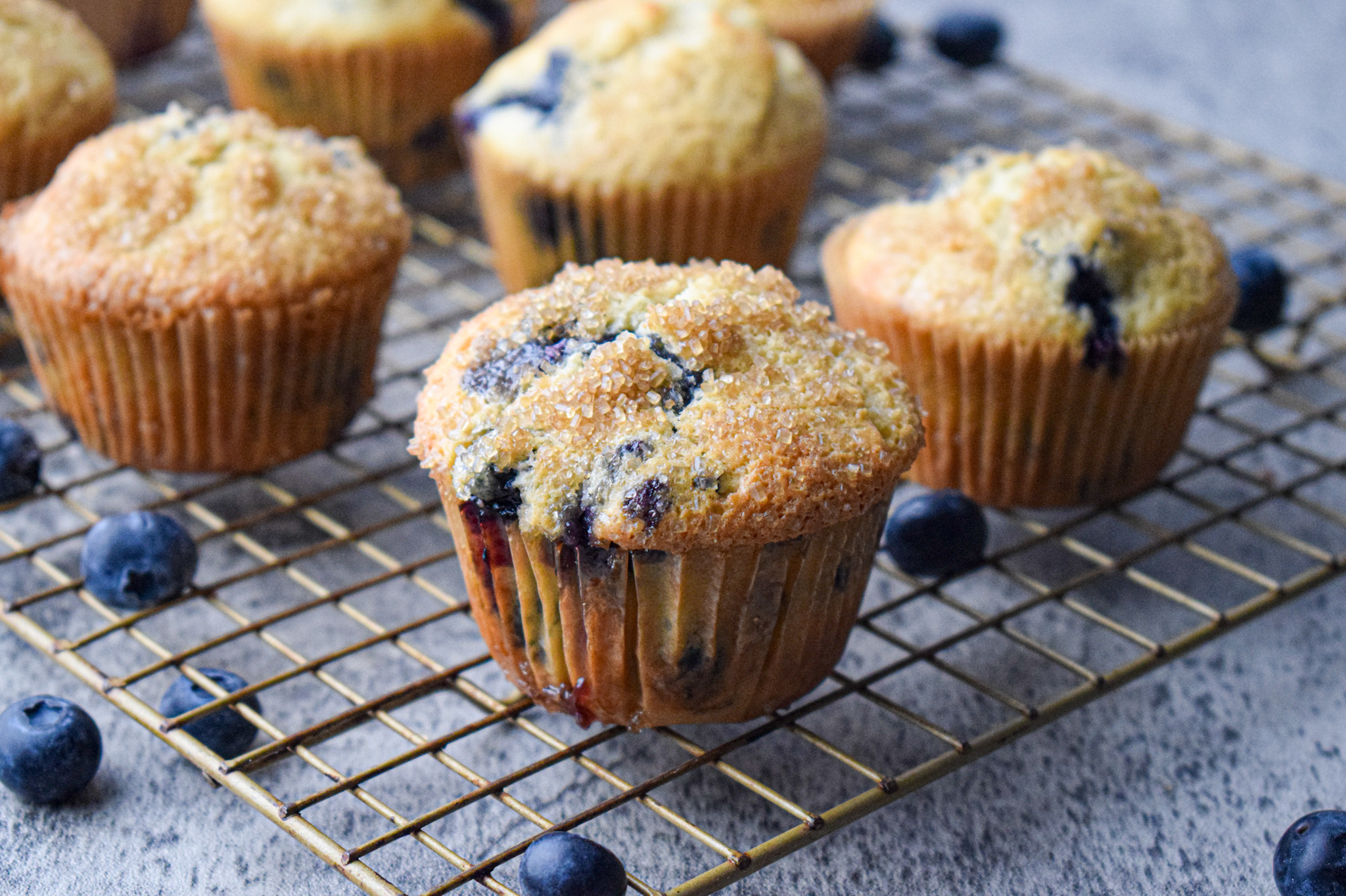 the best blueberry muffin recipe 