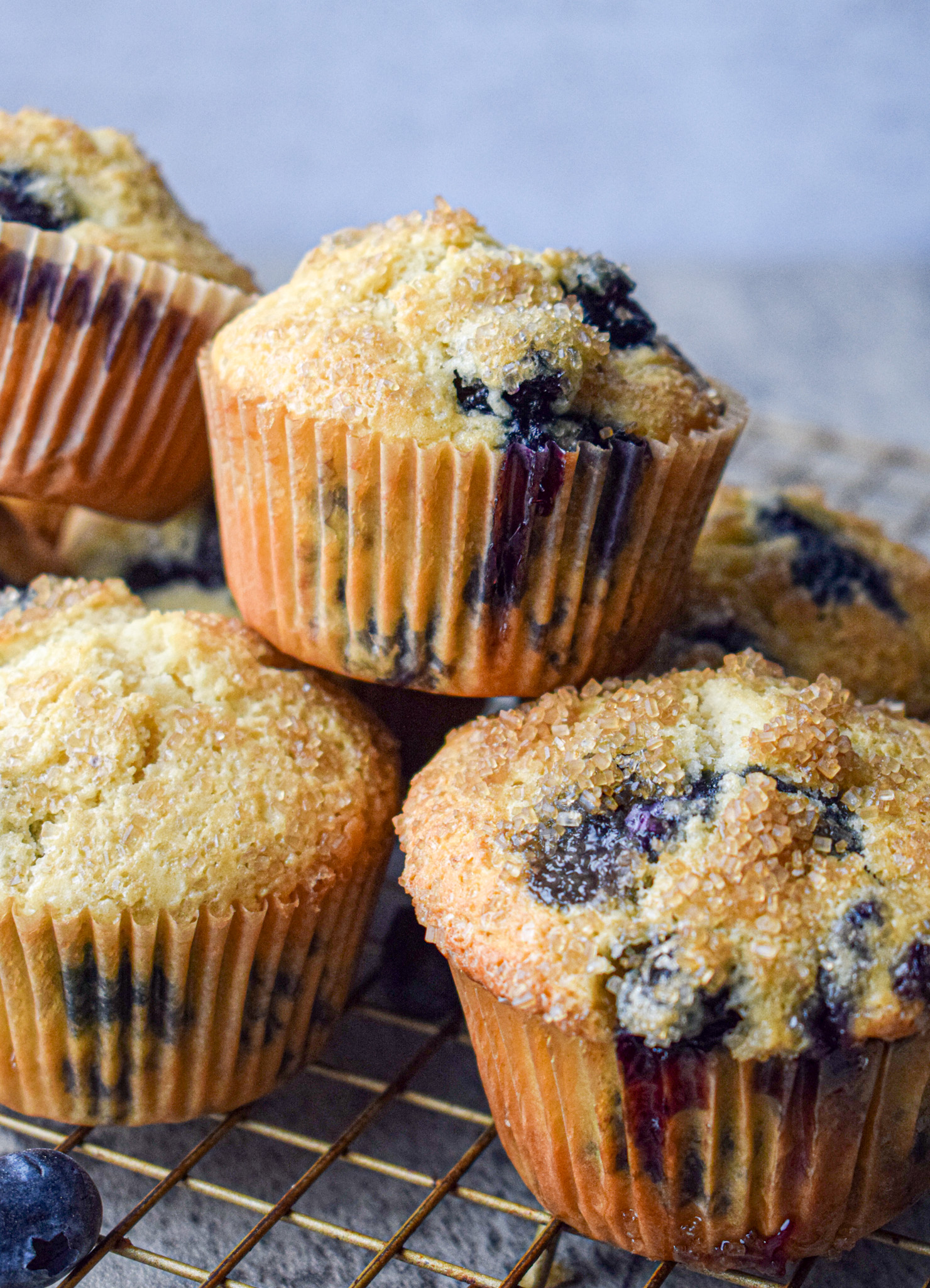 Blueberry Buttermilk Muffins 