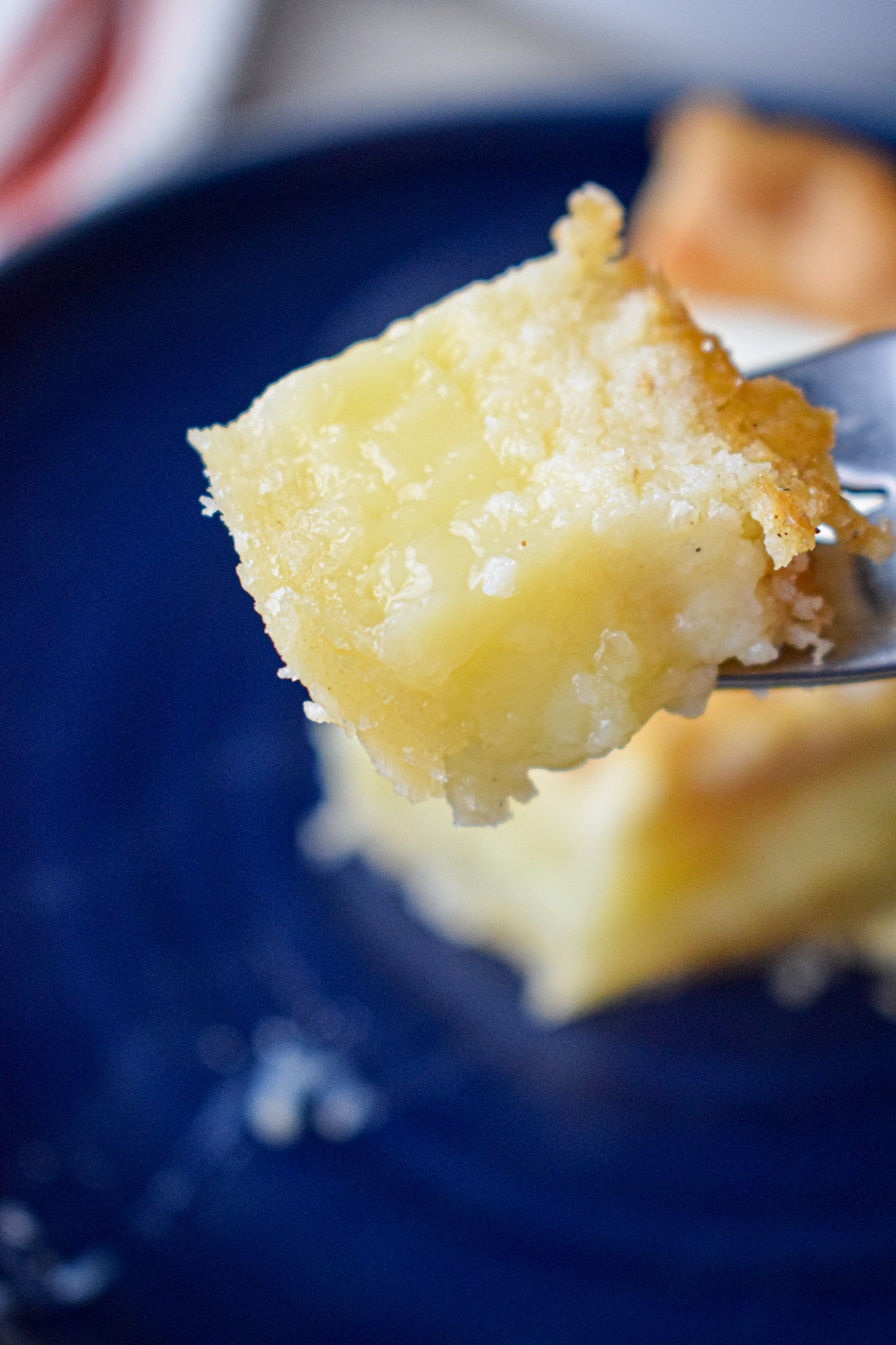 bite of delicious buttermilk chess pie with custard texture 
