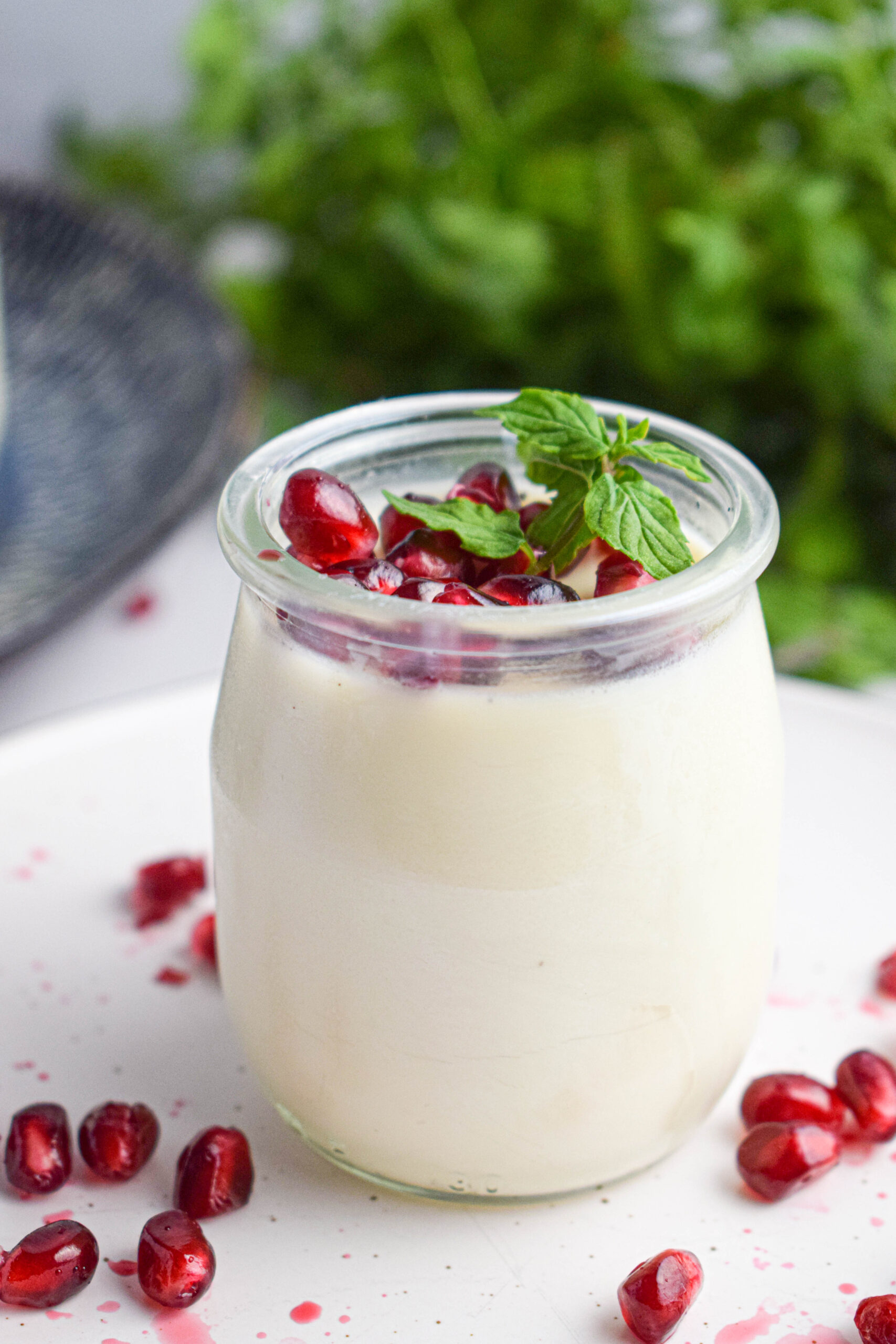 close up of creamy vanilla bean panna cotta in a glass jar topped with pomegranate seeds and fresh mint
