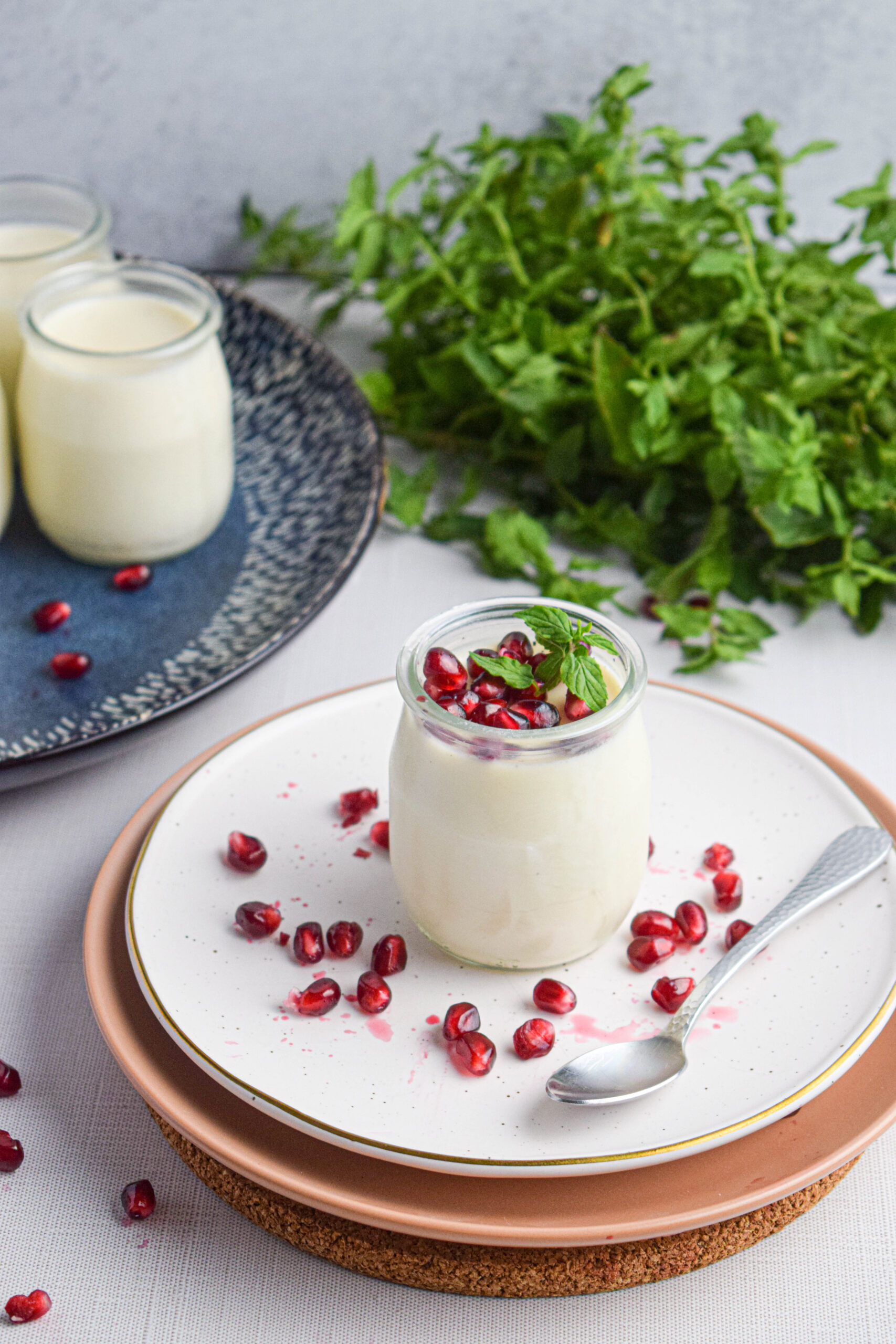 white background with stacked plates on which a glass pot of vanilla panna cotta sits topped with pomegranate seeds and fresh mint 