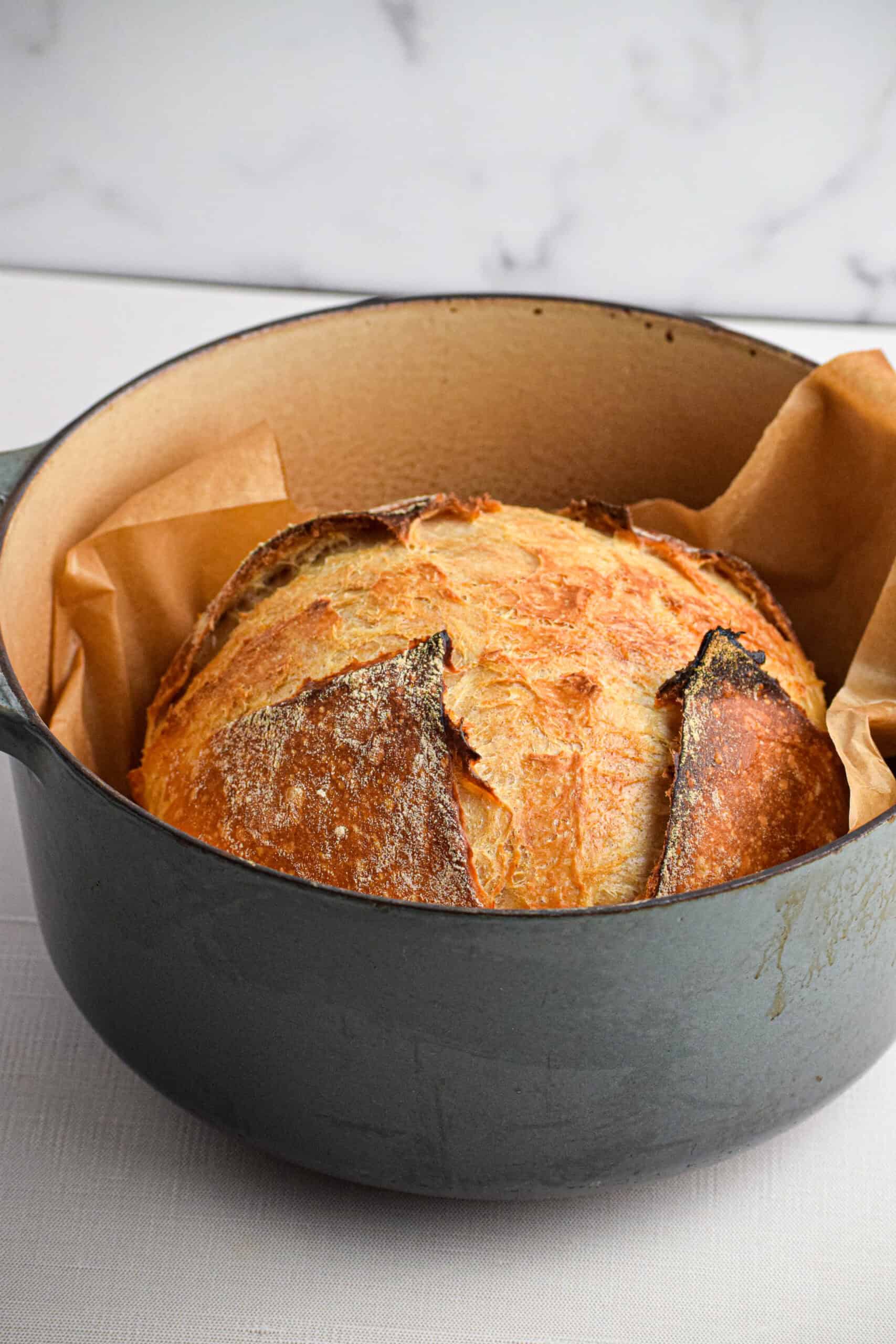 A golden brown baked loaf of easy homemade sourdough bread sits in a parchment lined dutch oven. 
