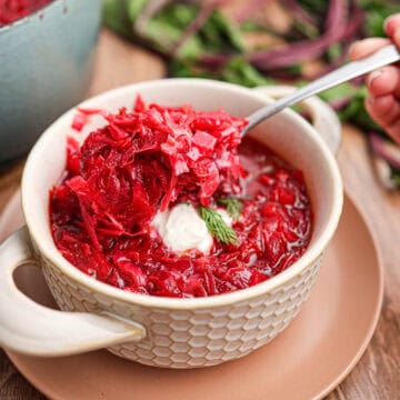 A steaming bowl of borscht with shredded beets, a dollop of sour cream, and a sprig of dill, as a spoon lifts a portion of the vibrant soup from the bowl.
